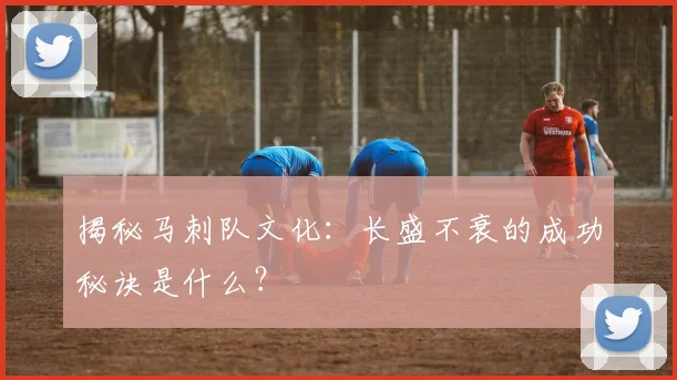 揭秘马刺队文化:长盛不衰的成功秘诀是什么?