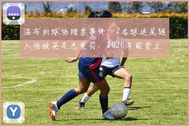 温布利球场蹭票事件:2名球迷尾随入场被英足总重罚,2026年前禁止观赛,详细解读球场安防漏洞与球迷行为准则
