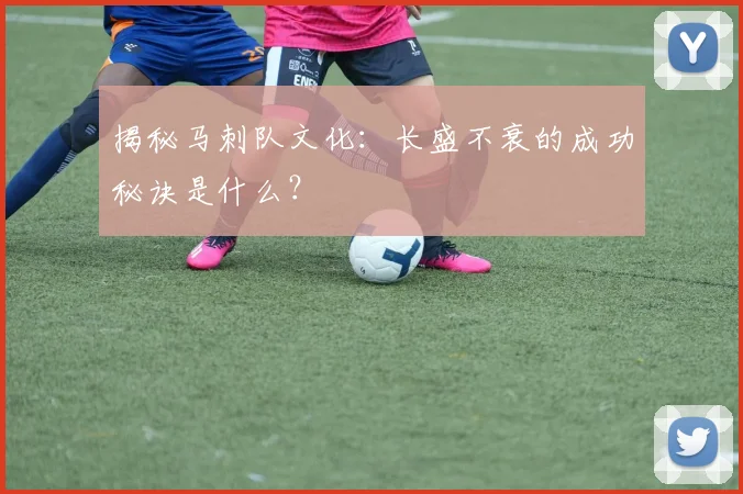 揭秘马刺队文化:长盛不衰的成功秘诀是什么?
