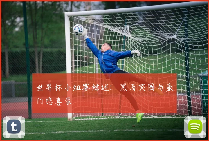 世界杯小组赛综述：黑马突围与豪门悲喜录